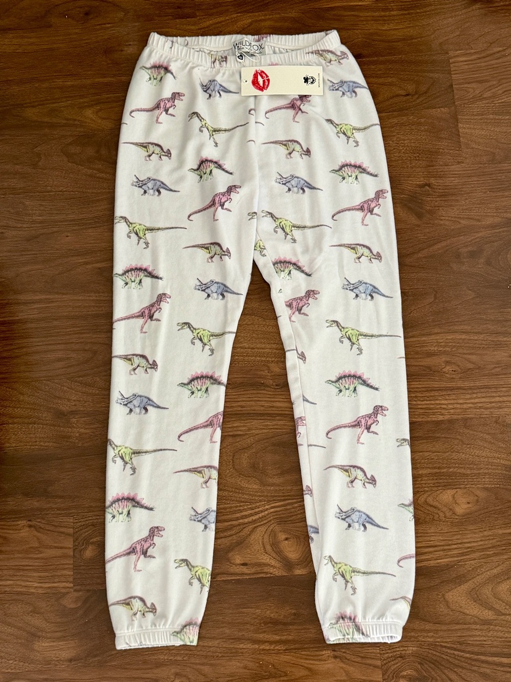 NWT WILDFOX Dinosaur Pants
